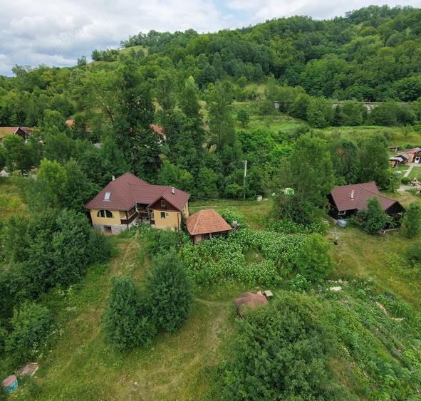 Casă cu Teren 4811 Mp în Peștera (Băița)