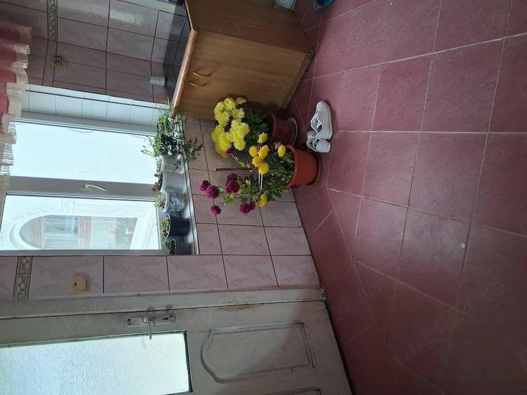 Casă cu 5 camere cu Teren 1300 Mp în Pucheni
