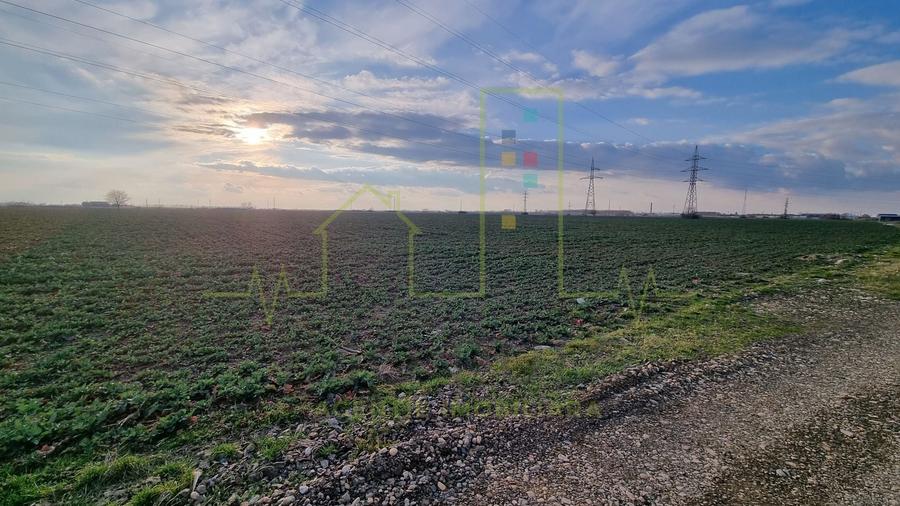 Teren agricol extravilan de 4345 mp, în Freidorf