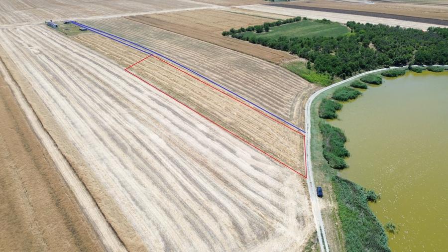 Teren Construcții extravilan de 6500 mp, în Frumușani