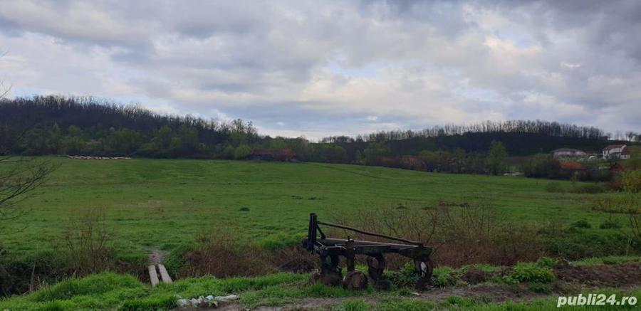 Proprietar vand 3 x parcele teren intravilan de 2.241 m2 la Crivobara - 4