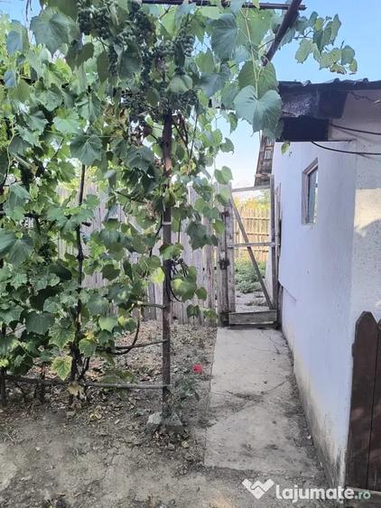 Casă cu 2 camere în Radovan