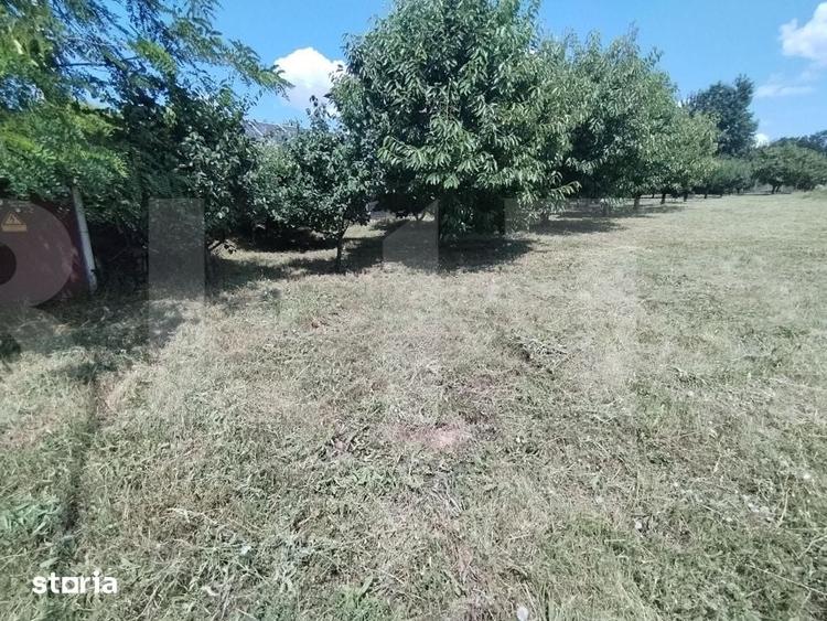 Teren de 3000 mp, în Curtești