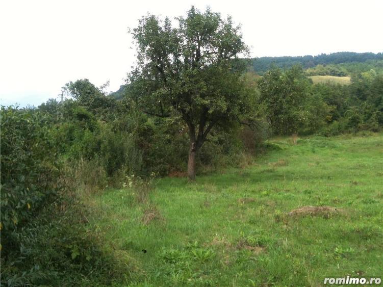 Vand teren intravilan 1,4 ha, Mehadia, Caras-Severin - 7