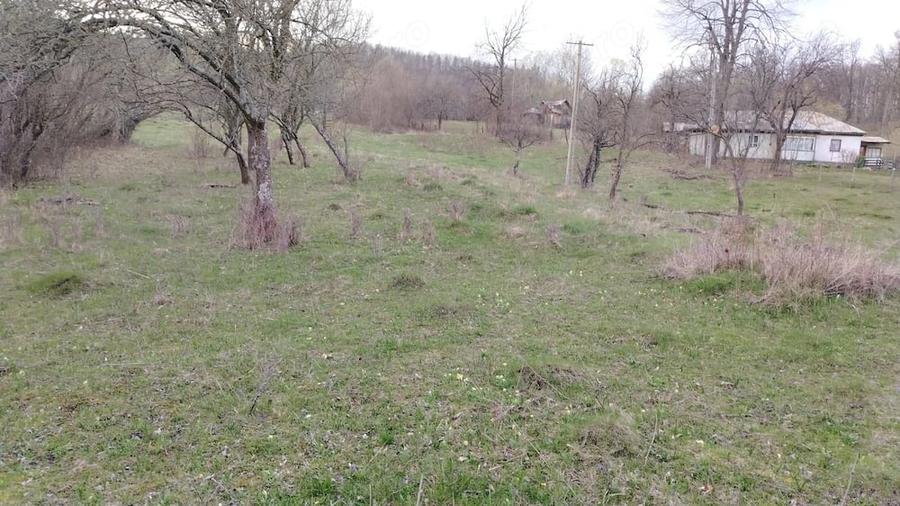 Teren de 4200 mp, în Bisoca