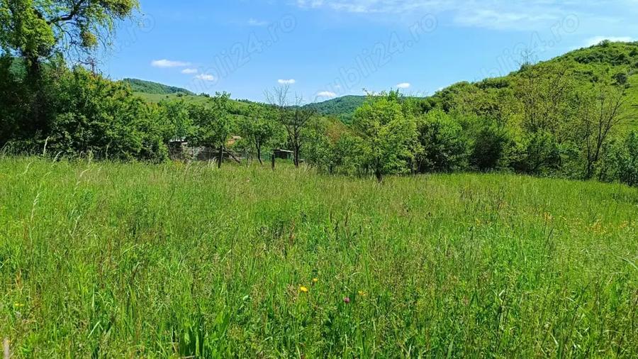 Teren de 2276 mp, în Drăgăneasa