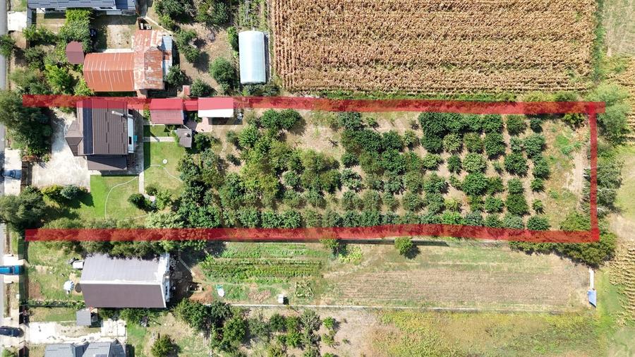Casă cu 5 camere cu Canalizare în Ungureni (Corbii Mari)