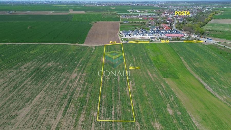 Teren Construcții intravilan de 16140 mp, în Cernica