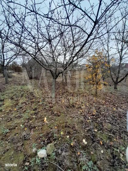 Teren intravilan pentru constructii de vanzare in Paleu, Oradea - 1