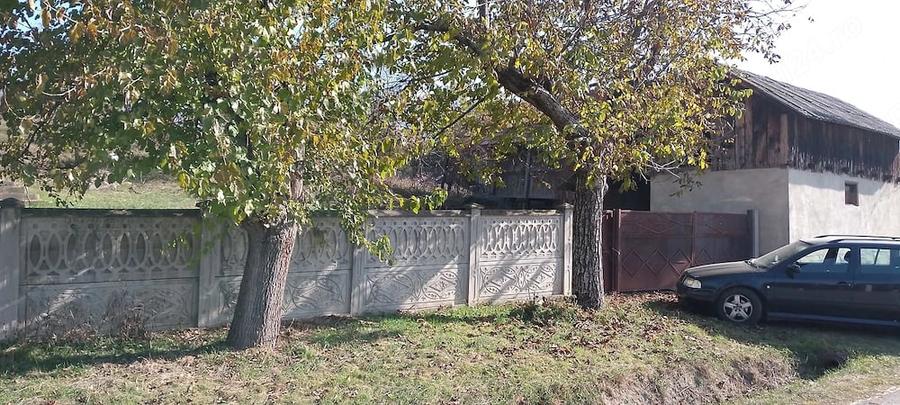 Casă cu 3 camere cu Teren 3000 Mp în Drăguțești
