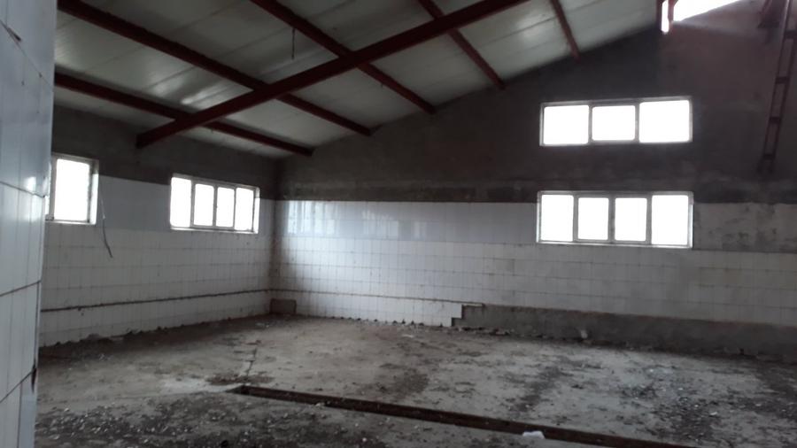 Proprietate specială, de 5,441 mp, în Vâlcelele