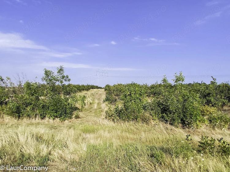 Parcele Teren extravilan Livada si Pasune Lunca Corbului Arges - 10