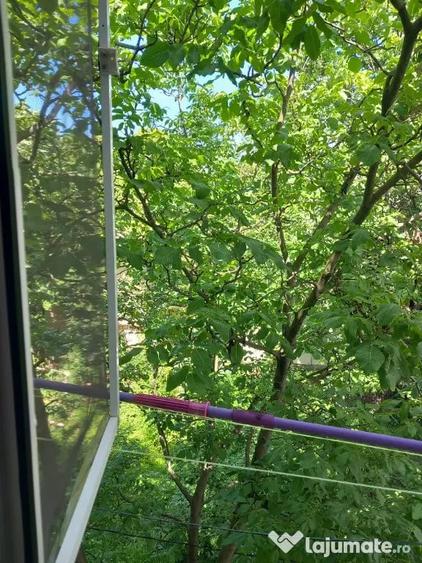 Apartament 2 camere decomandate, confort 1, zona bulevardul castanilor - 5