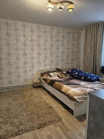 Casă cu 6 camere cu Teren 390 Mp în Sânandrei