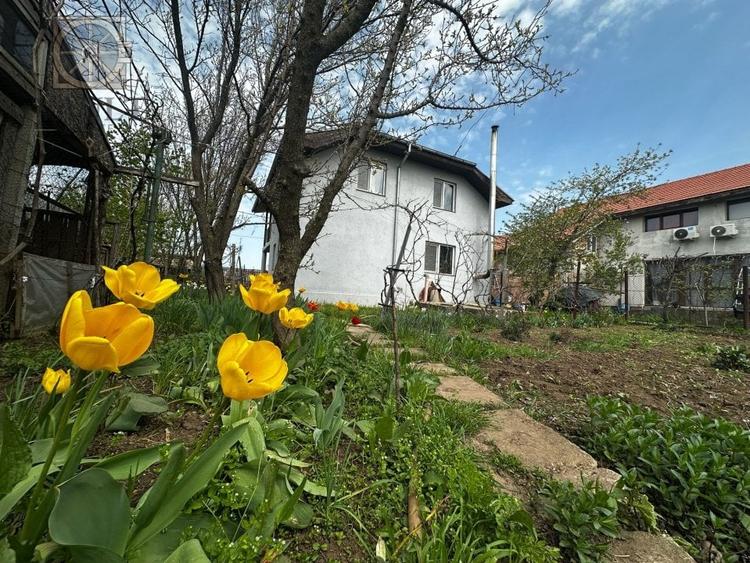 Casă individuală cu 5 camere cu Canalizare în Frumușani