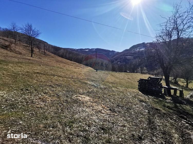 Teren de 10100 mp, în Bulz