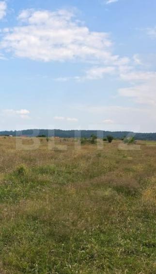 Teren Construcții intravilan de 1000 mp, în Sâmbăta de Sus