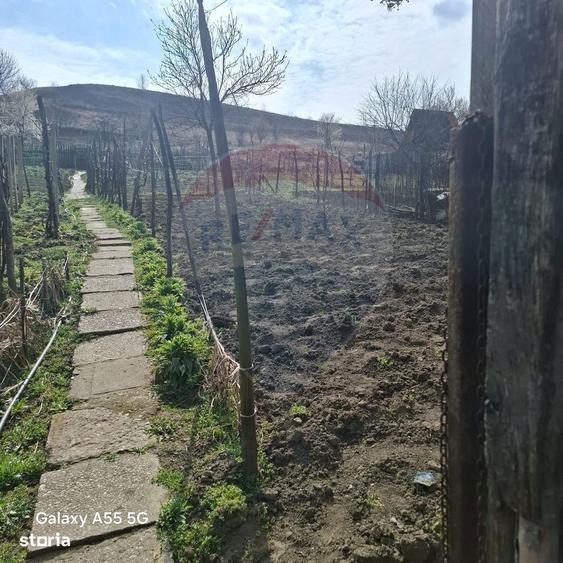 Casa cu 3 camere aproape de Medias in loc. Tarnava str. Dumbravii 58 - 5