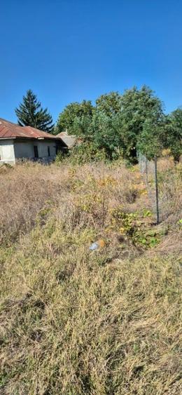 Casă cu 3 camere cu Teren 1000 Mp în Curătești
