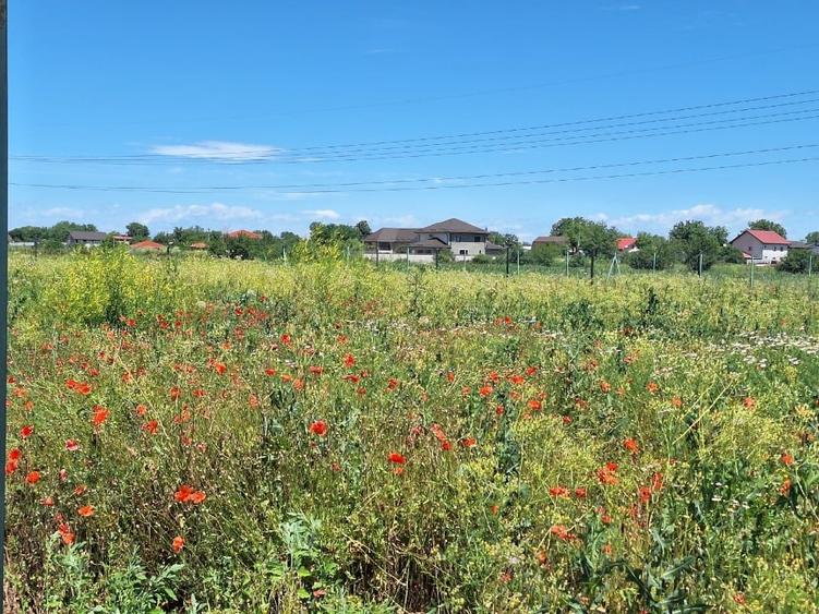 Teren Construcții intravilan de 500 mp, în Tărtășești