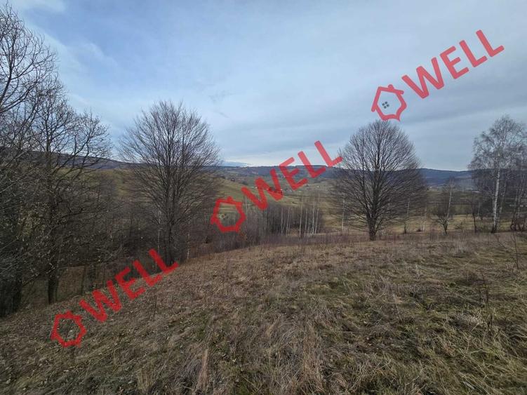 Teren extravilan de 5800 mp, în Sărămaș