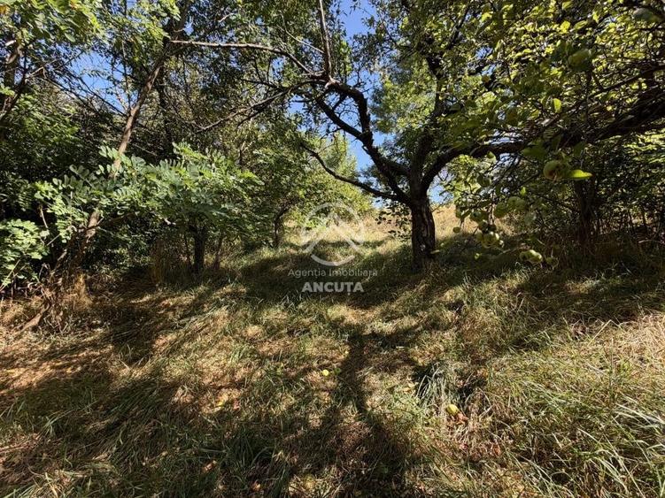 Teren intravilan de 795 mp, în Feleacu