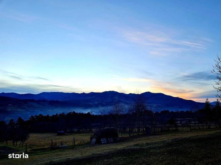Teren de 13000 mp, în Asău