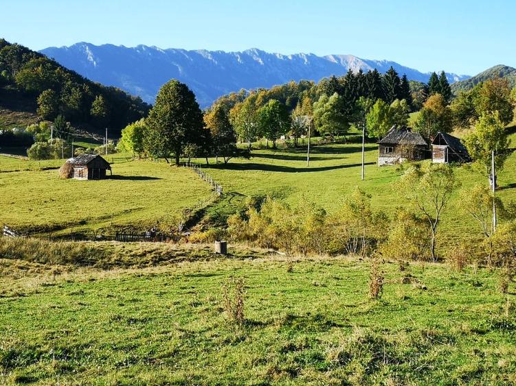 Teren Construcții intravilan de 3488 mp, în Ciocanu