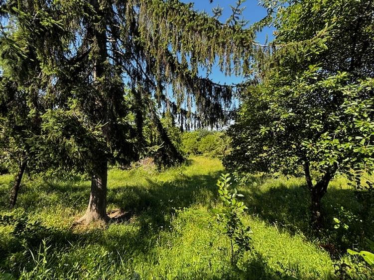 Teren extravilan de 3100 mp, în Dăești