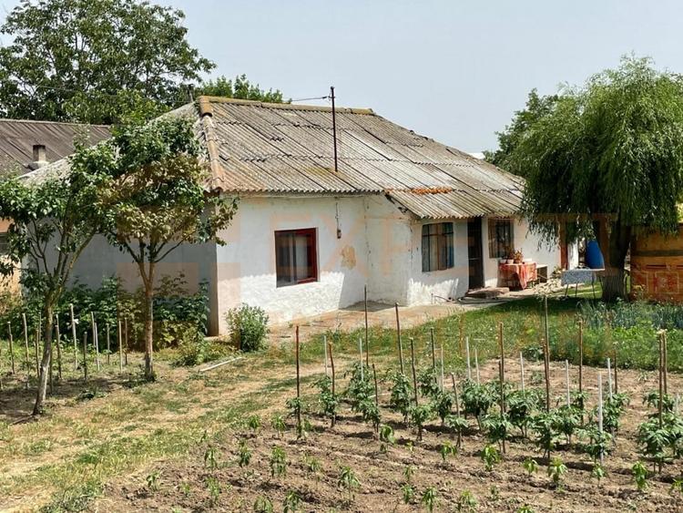 Teren Construcții intravilan de 2581 mp, în Mihail Kogălniceanu