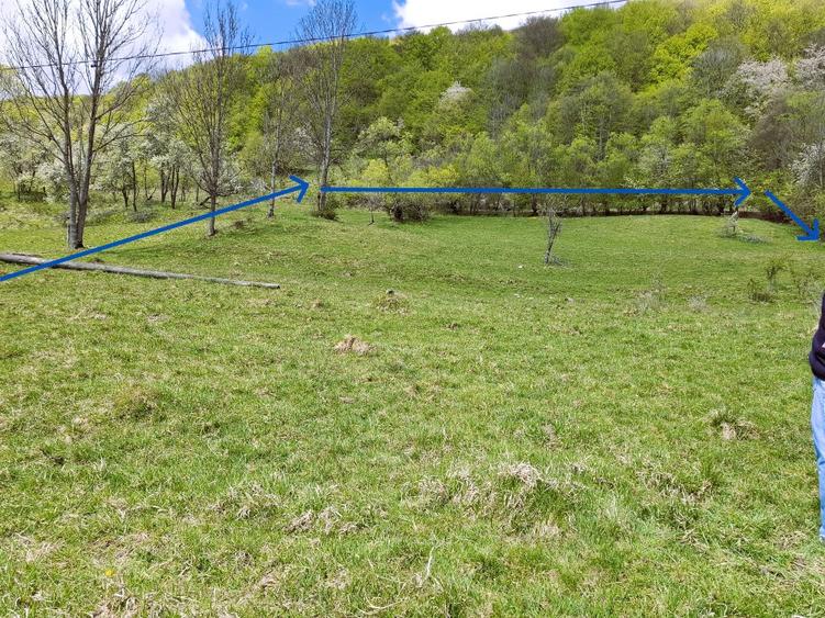 Teren agricol extravilan de 7069 mp, în Măcărești