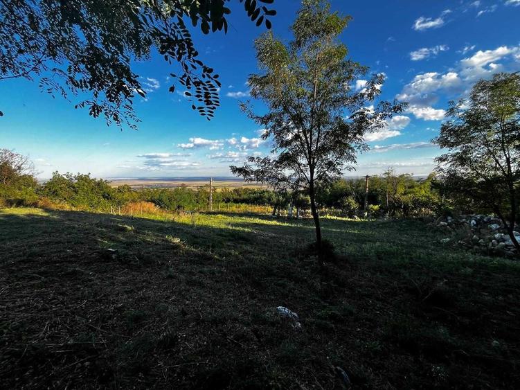 Teren de 7593 mp, în Pietroasele