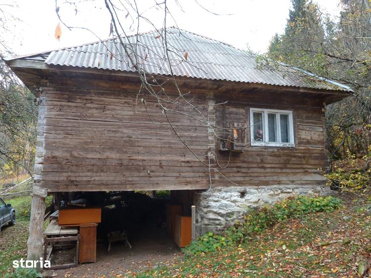 Teren de 44025 mp, în Scărișoara