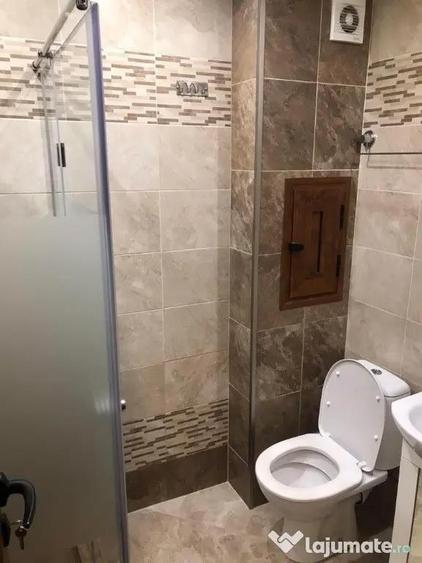 Apartament o camera Sagului - 2