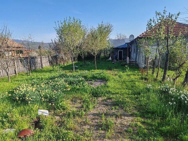 Casă cu Teren 5000 Mp în Unguriu