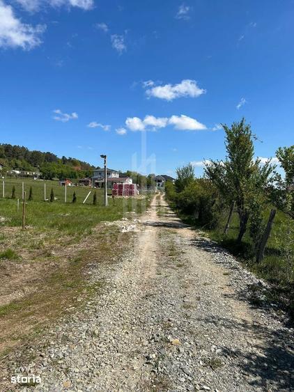 Teren de 600 mp, în Central