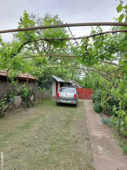 Casă cu 5 camere cu Teren 4000 Mp în Smârdan