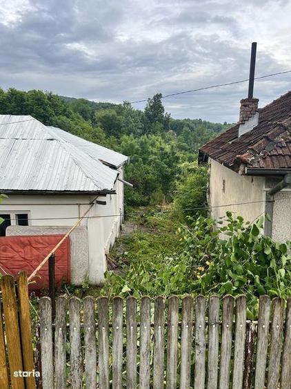Teren de 1000 mp, în Provița de Jos