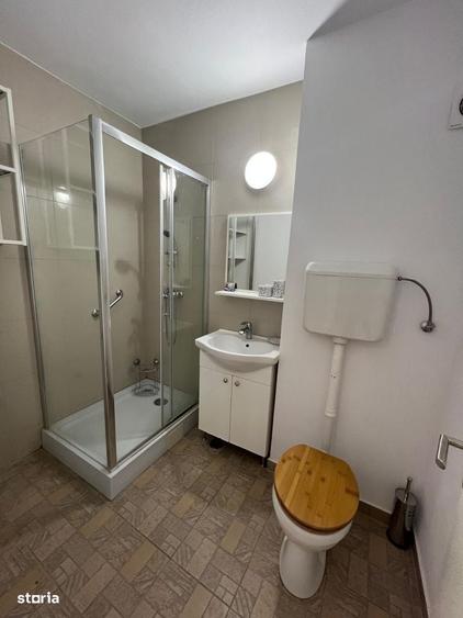 Apartament 3 camere Dinicu Golescu - 13
