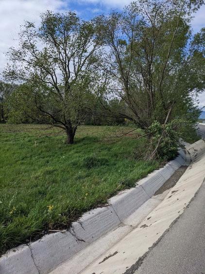 Teren în Copăcel