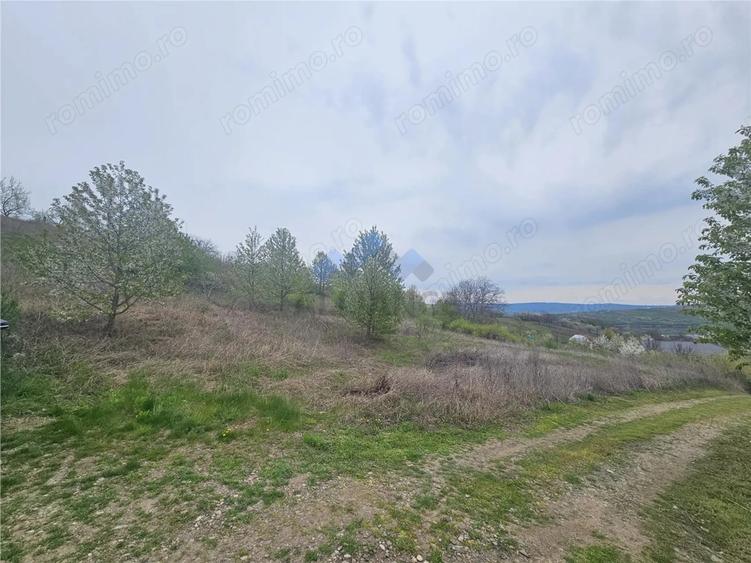 Teren de 9000 mp, în Ciurbești