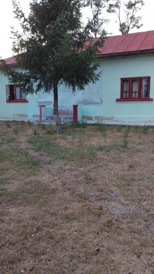 Casă cu Teren 2900 Mp în Izvoru (Gogoșari)