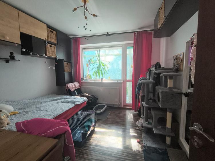 CITY MALL 4 CAMERE SEMI,90 MP PRET 156000 EURO - 5