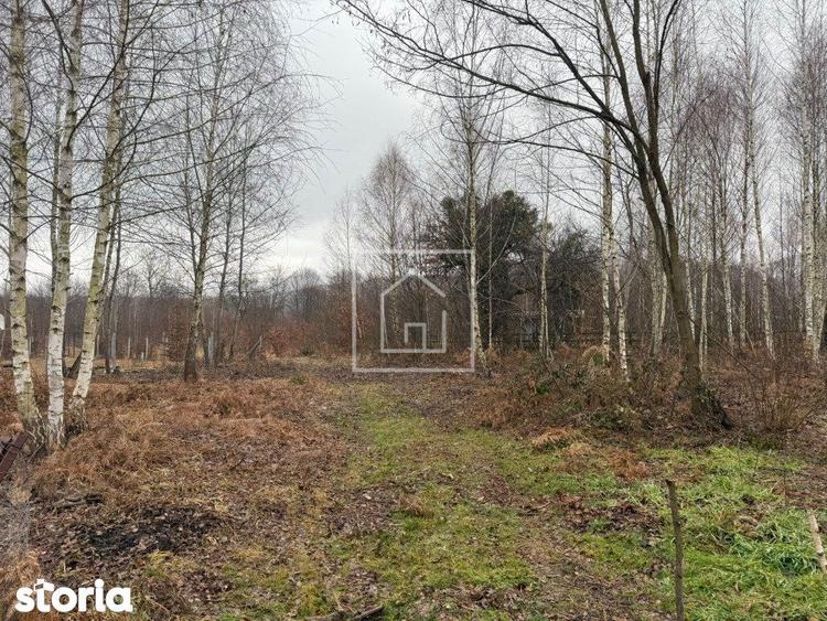 Teren intravilan 520 mp Valea Avrigului ideal cabana A-frame - 2