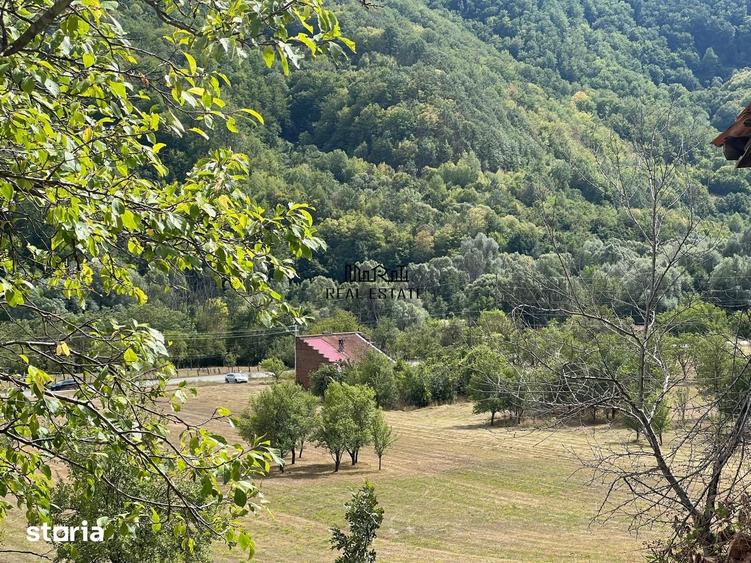 Teren+Casa Mihaileni - 18