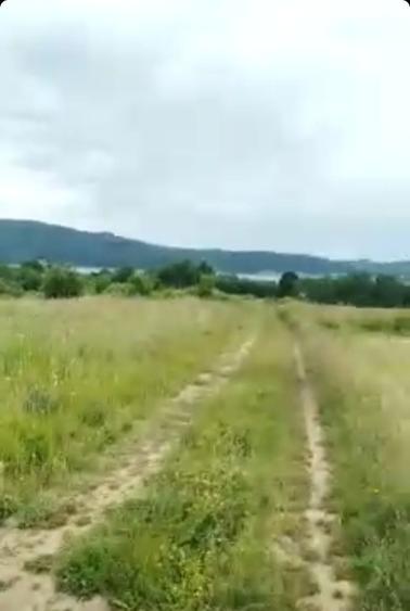 Teren de 11600 mp, în Fârdea