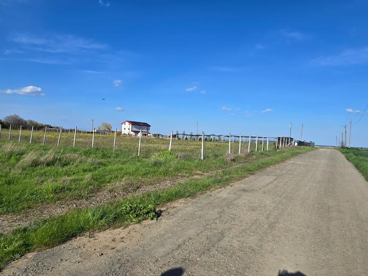 Teren Construcții intravilan de 4000 mp, în Tuzla