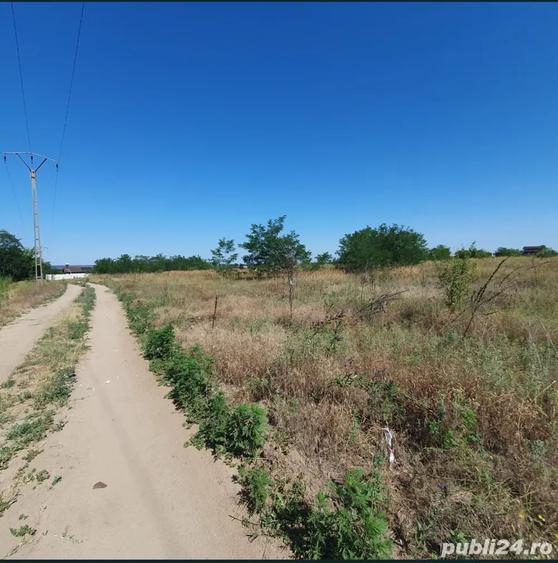 vand teren intravilan Malu Mare 1500 mp - strada Salcamilor - 4