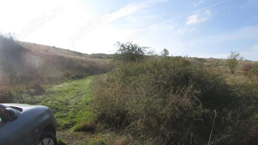 Teren de 15400 mp, în Zăvoi