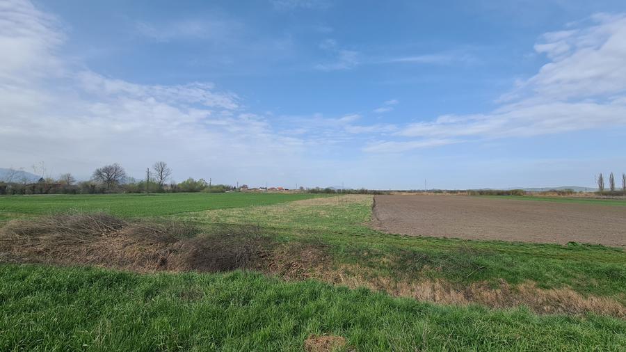 Teren Construcții intravilan de 2134 mp, în Prejmer